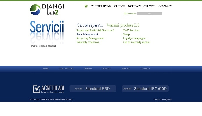 Dezvoltare site de prezentare - Diangi - layout site, servicii.jpg